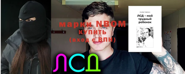 ECSTASY Инсар