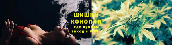 ECSTASY Инсар