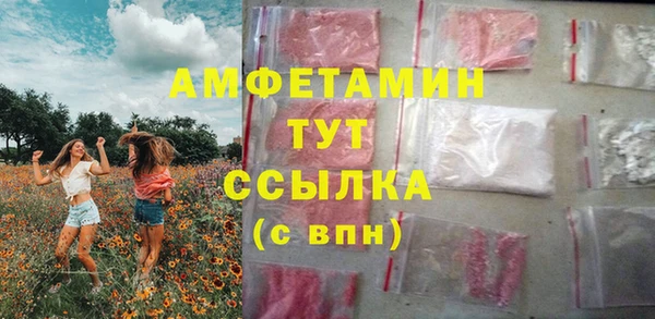 ECSTASY Инсар