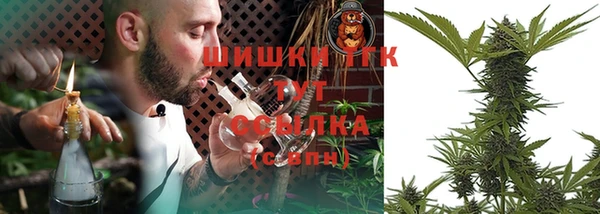 ECSTASY Инсар