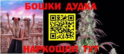 мдпв Владивосток