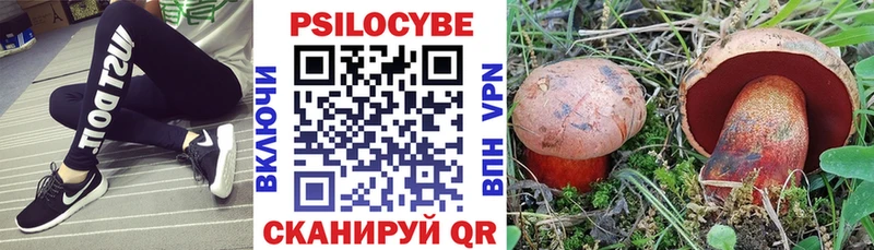 цена   MEGA ссылки  Псилоцибиновые грибы мухоморы  Салават 