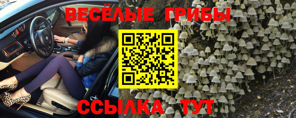 Галлюциногенные грибы мицелий  Псилоцибиновые грибы мухоморы  Вход с VPN  Салават 
