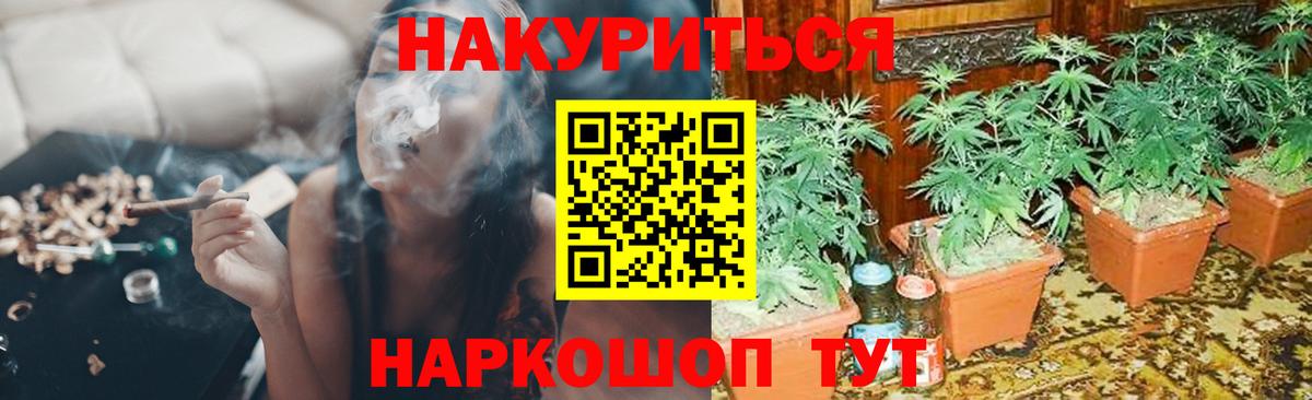 Канабис SATIVA & INDICA  Бошки марихуана SATIVA & INDICA  Вход с VPN  Бошки марихуана планчик  Канабис индика  Салават 